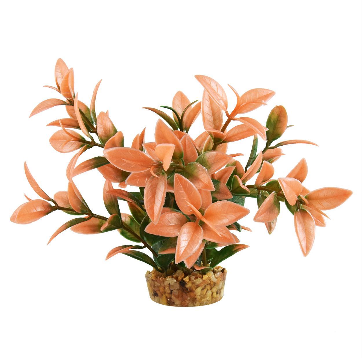 UT Ludwiga - Peach Tip - 6"