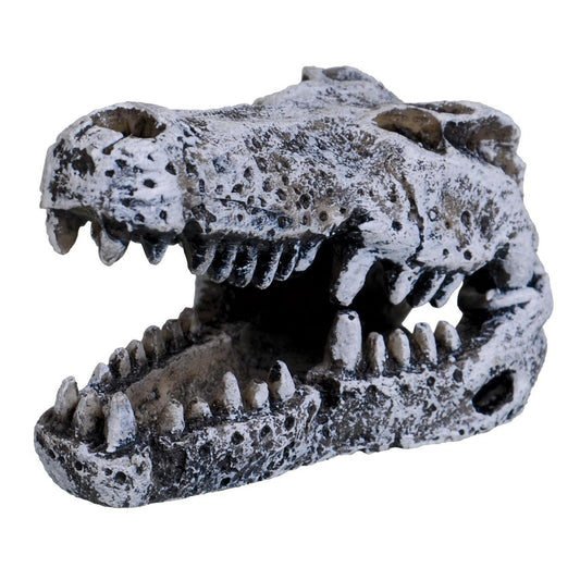 UT Crocodile Skull Mini