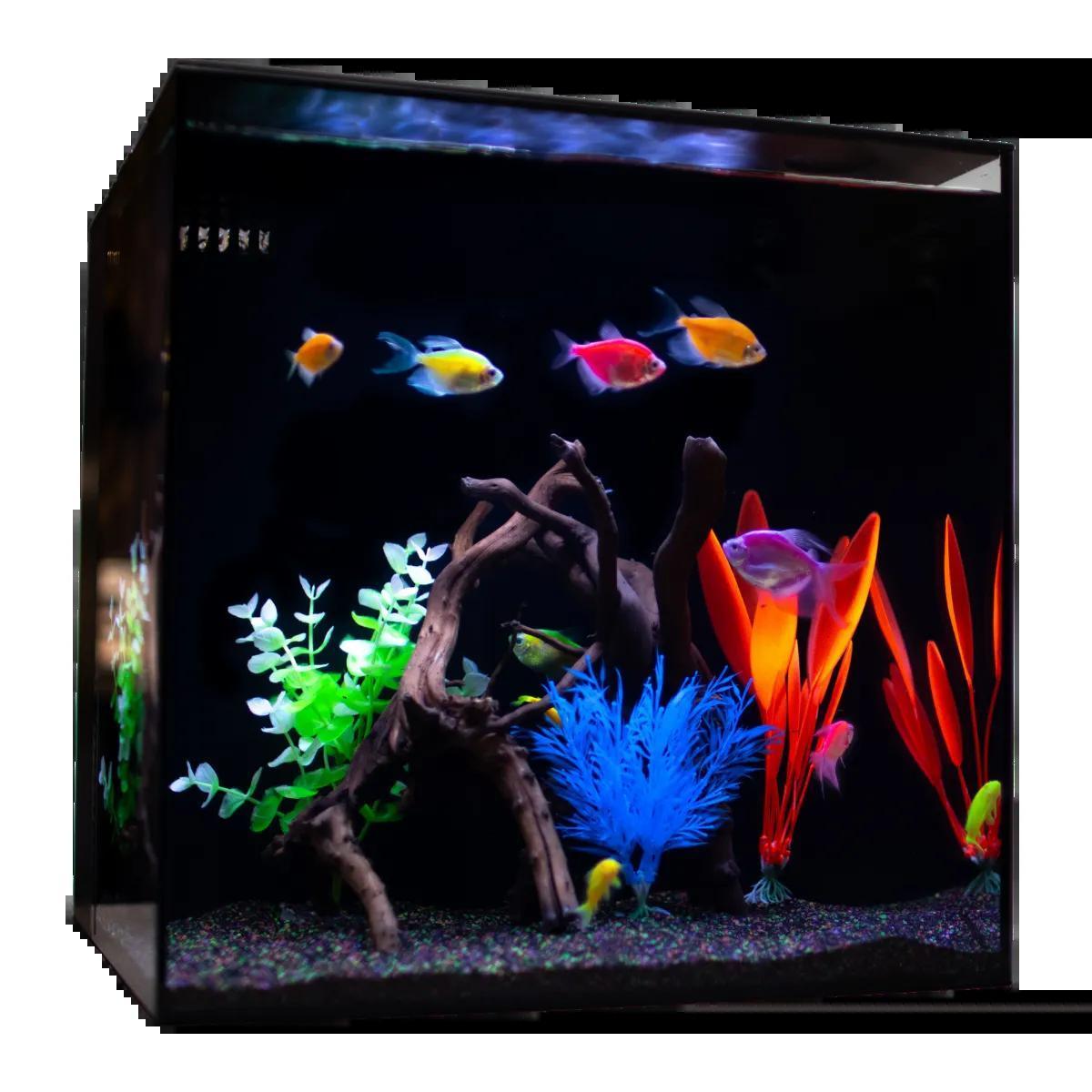 Helloreef Glofish Aquarium Kit