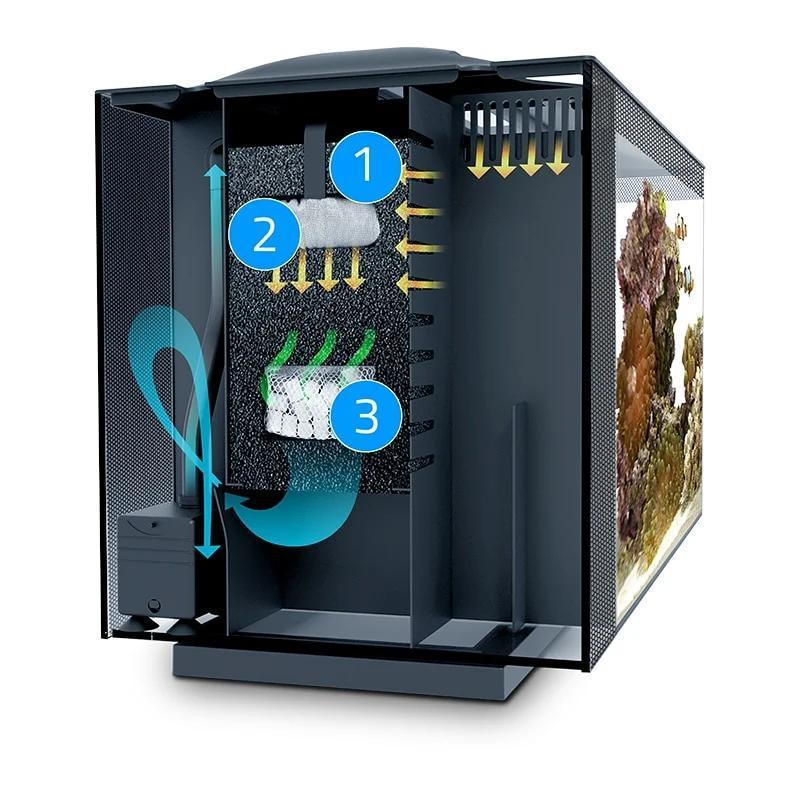 Fluval Evo 13.5g Aquarium Kit