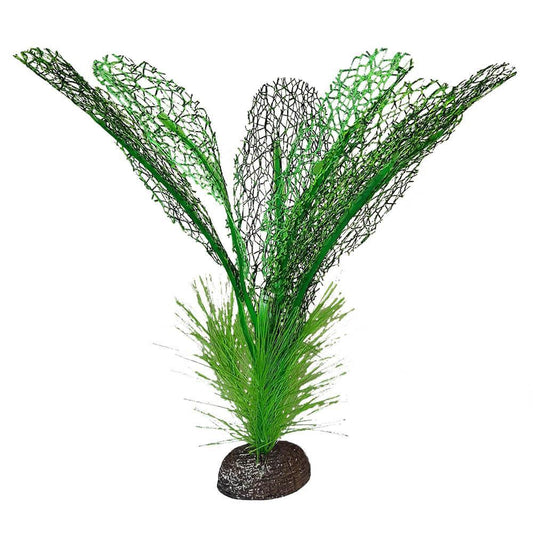 Fluval Betta Madagascar Lace Plant - 15 cm (6 in)