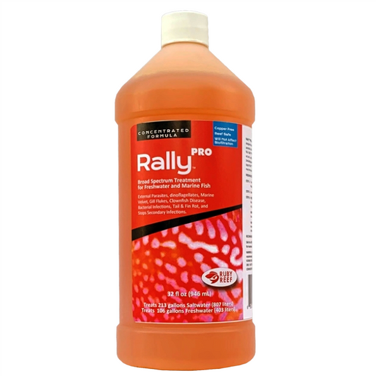RUBY REEF Rally Pro 32 fl oz