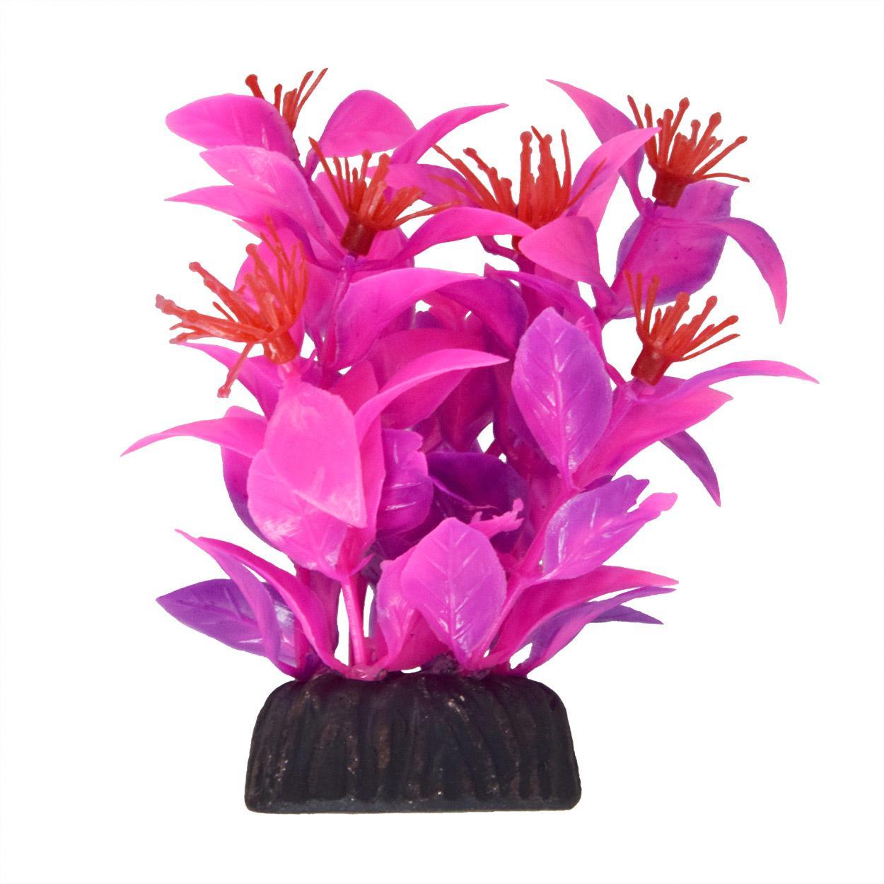 UT Ludwigia Pink 3"