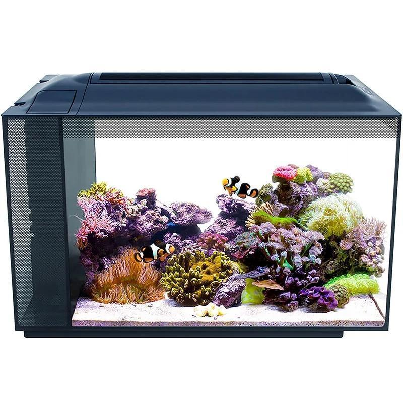 Fluval Evo 13.5g Aquarium Kit