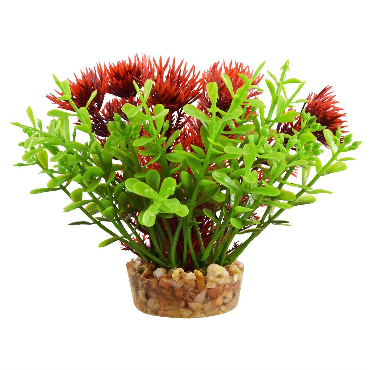 UT Bacomba - Red - 4"