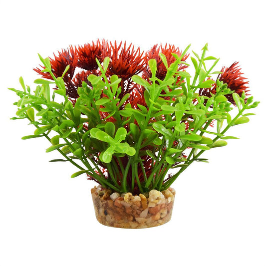 UT Bacomba - Red - 4"
