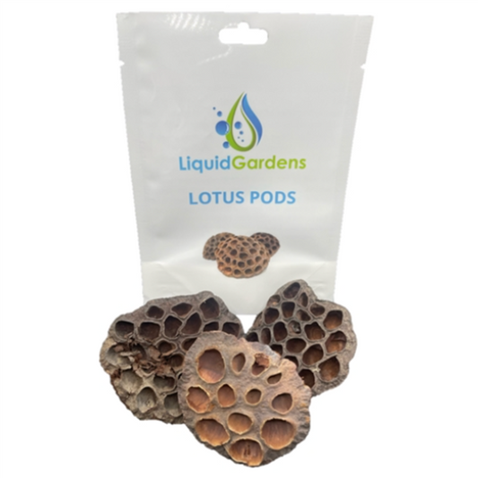 LG Lotus Pods