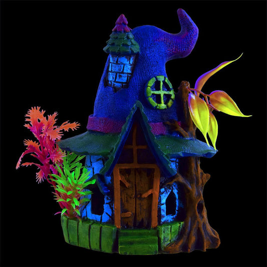 UT GLO WIZARD HOUSE