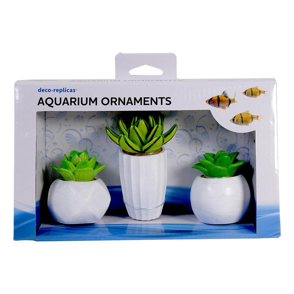 Succulent Set