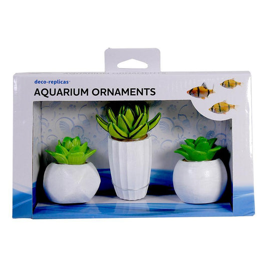 Succulent Set
