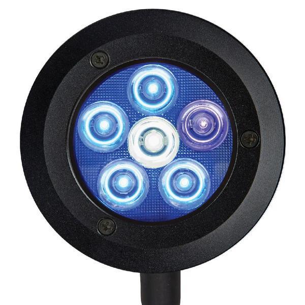 ReefBreeders Pico LED (Saltwater)