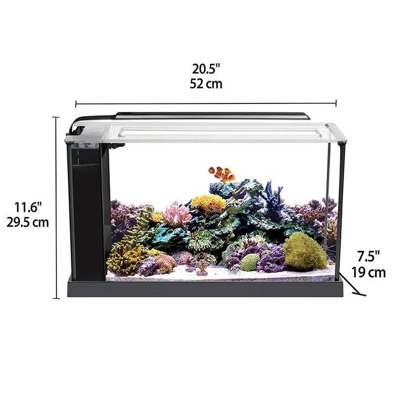 Fluval Evo 5g Aquarium Kit