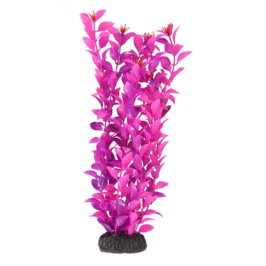 UT Ludwigia Pink 12"