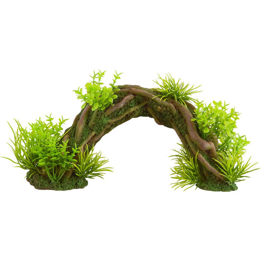 UT Plant Landscape Arch - Medium