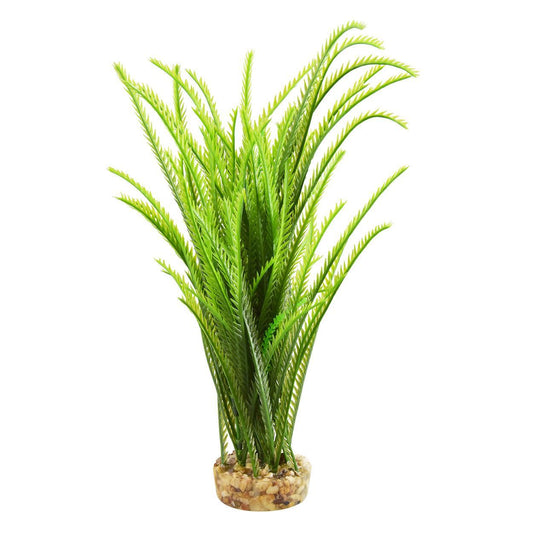 UT Japonica - Green - 12"