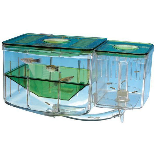 PP Aqua Nursery
