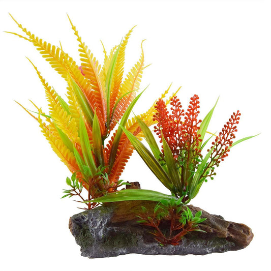 Orange Fern On Root