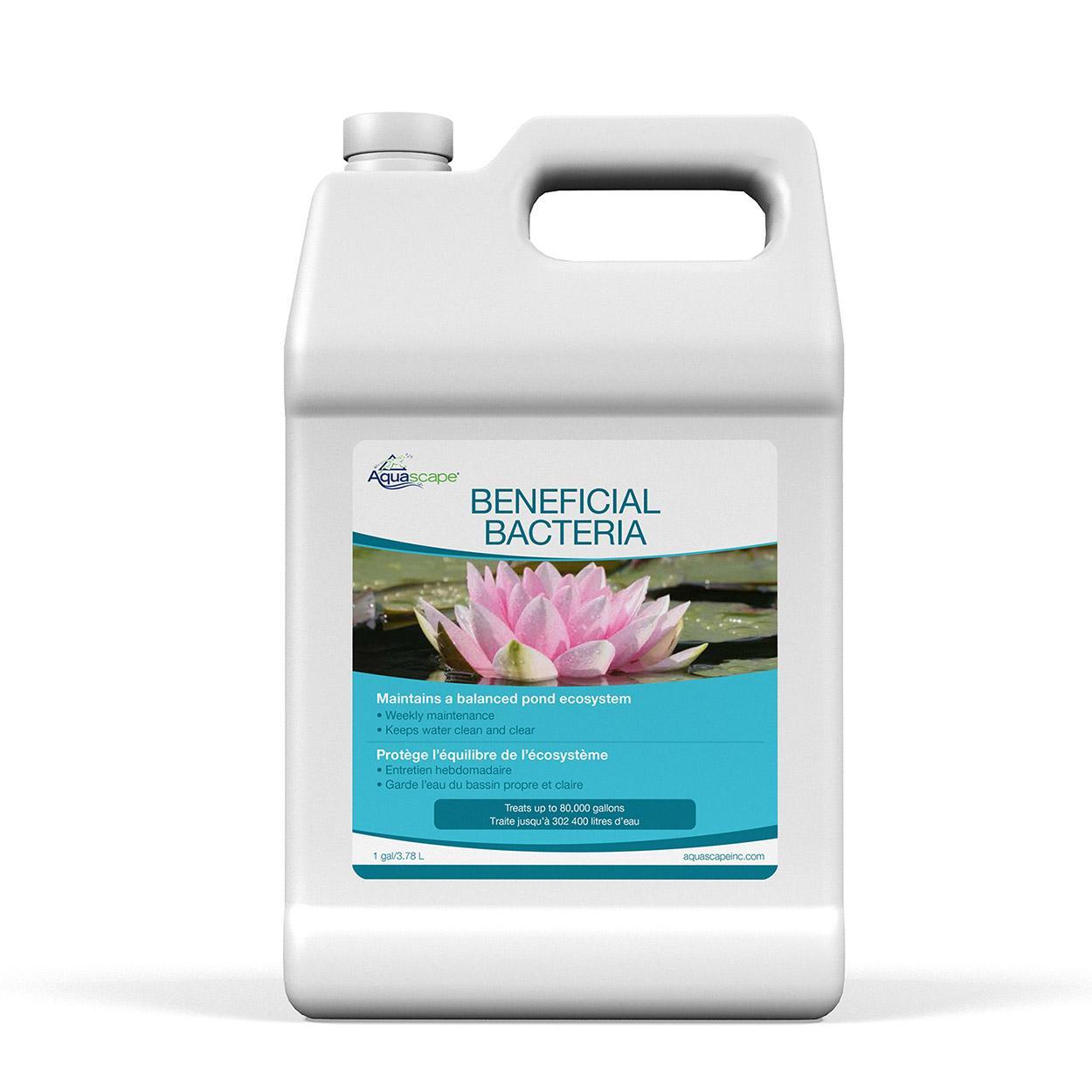 Aquascape Pond Beneficial Bacteria 1 gal