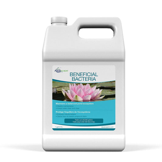 Aquascape Pond Beneficial Bacteria 1 gal