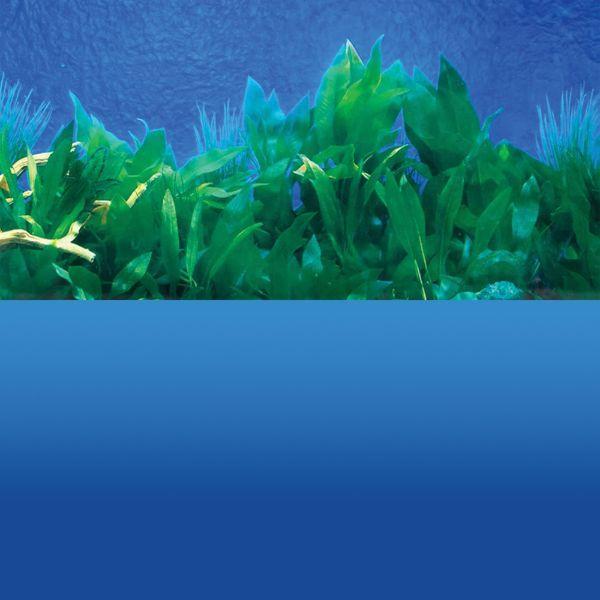 10 Gallon Background Deep Blue Sea/ Amazon Waters