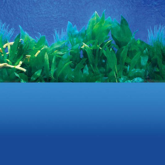 10 Gallon Background Deep Blue Sea/ Amazon Waters