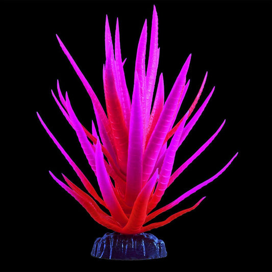 UT Glow Yucca Pink Medium