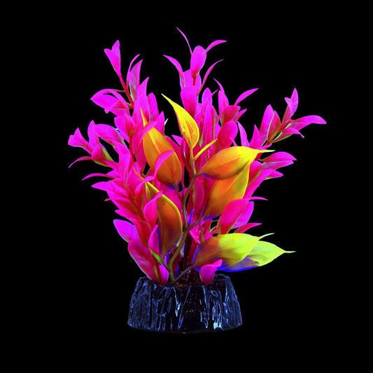 UT Glo Hygro Pink Small