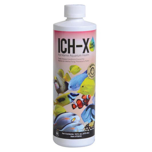 Hikari Ich-X SW 16oz