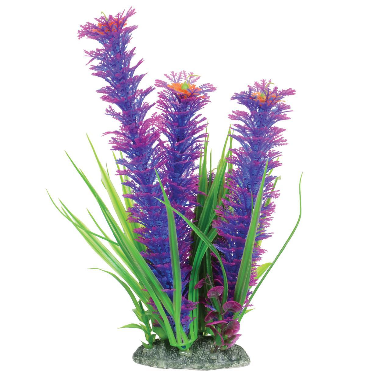 UT Ambulia Violet 10"