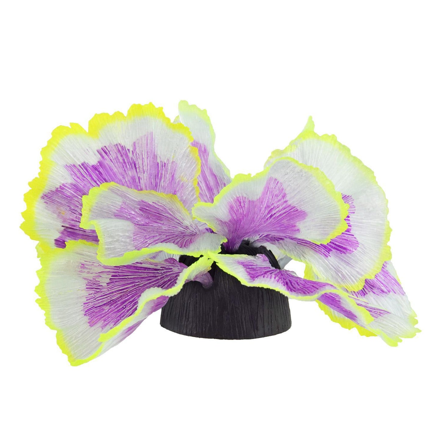 UT Coral Lettuce Purple