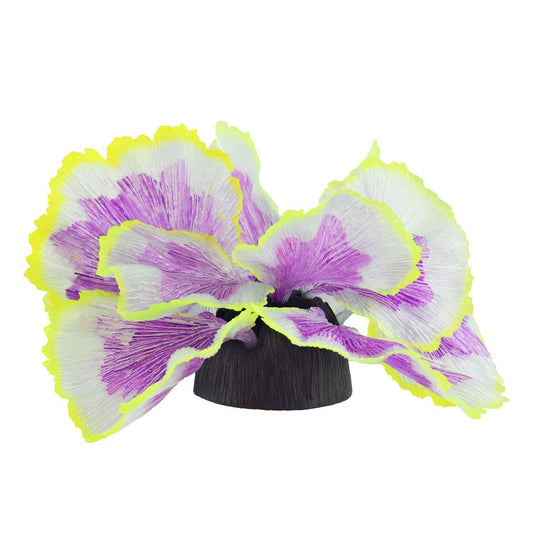 UT Coral Lettuce Purple