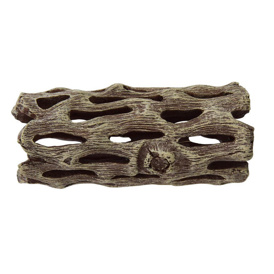 Cholla Wood Small