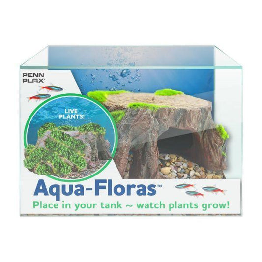 Tree Stump Aquafloras
