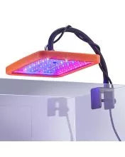Neptune GRO with Tank Mount Bracket